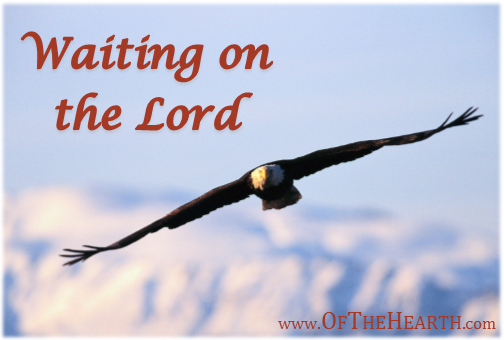 Waiting On The Lord