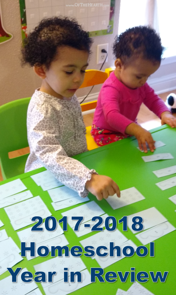 2017-2018 Homeschool Year In Review